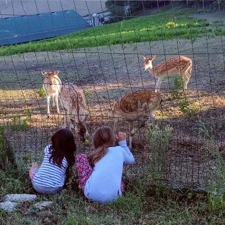 فندق مبيت وإفطار Marcantonio