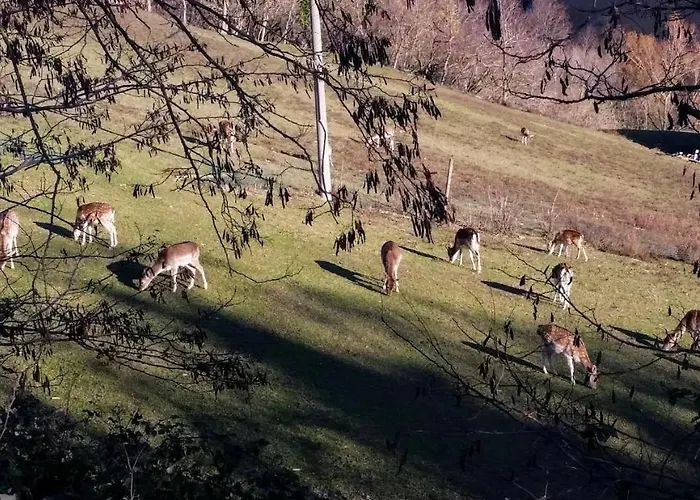 Marcantonio Nocleg ze śniadaniem Sogliano al Rubicone