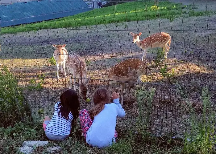 Bed & Breakfast Marcantonio